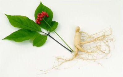 Natural stimulants of potency in men